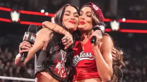 The Bella Twins