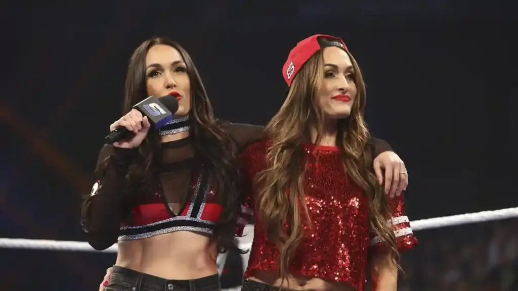 The Bella Twins