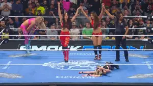The Bella Twins vencem o primeiro combate desde o recente retorno à WWE